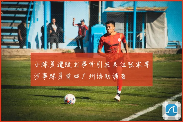 小球员遭殴打事件引发关注张家界涉事球员将回广州协助调查