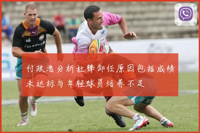 付政浩分析杜锋卸任原因包括成绩未达标与年轻球员培养不足